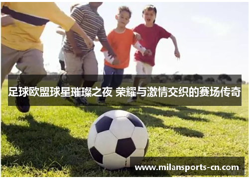足球欧盟球星璀璨之夜 荣耀与激情交织的赛场传奇